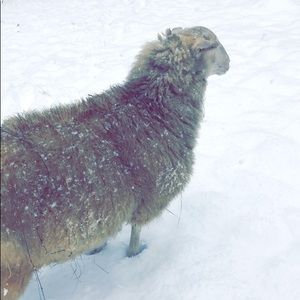 Meet your Posher, Mary